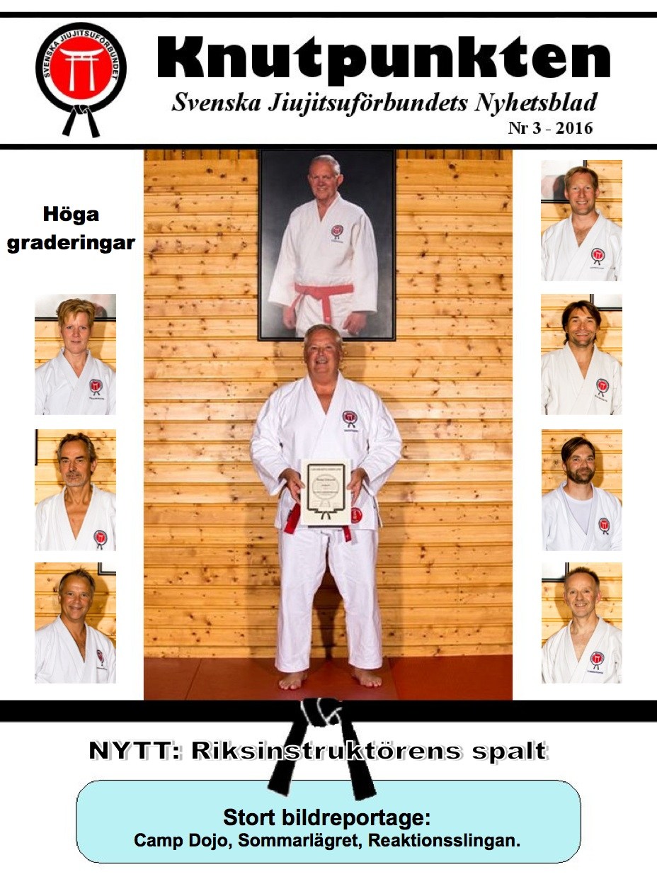 Knutpunkten nr 3 2016